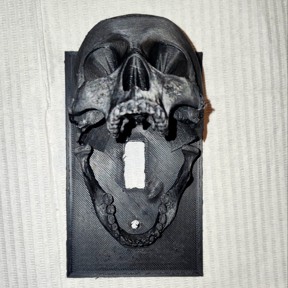 Skull head lights witch plate